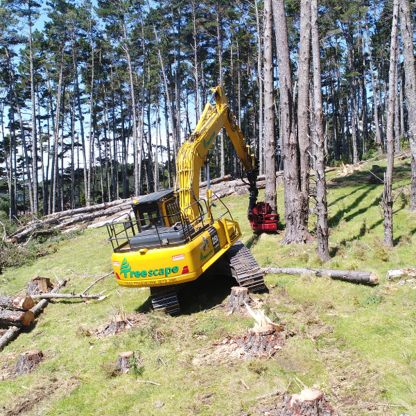 LAND CLEARING PROJECT