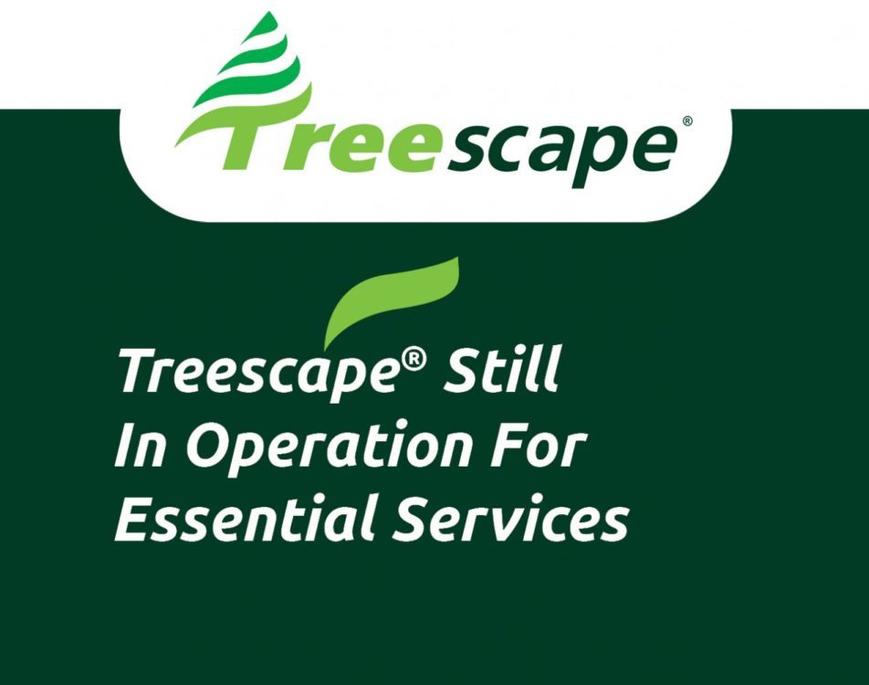 Treescape Still In Operation For Essential Services